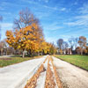 Autumn in Ogden Park